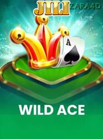 Wild Ace game cover